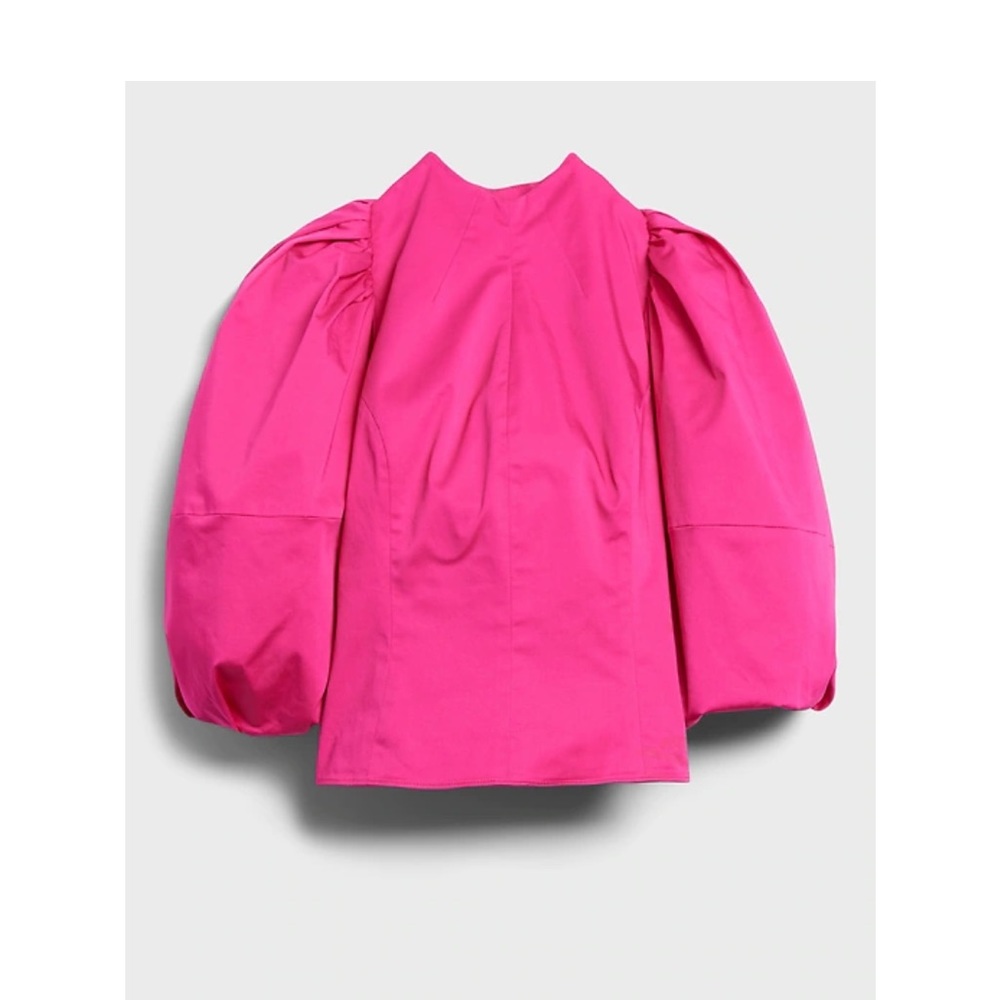 Banana Republic x Harbison Balloon Sleeve Top - Brown $50